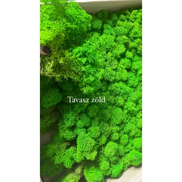 Izlandi zuzmó alapanyag- Tavasz zöld 1kg