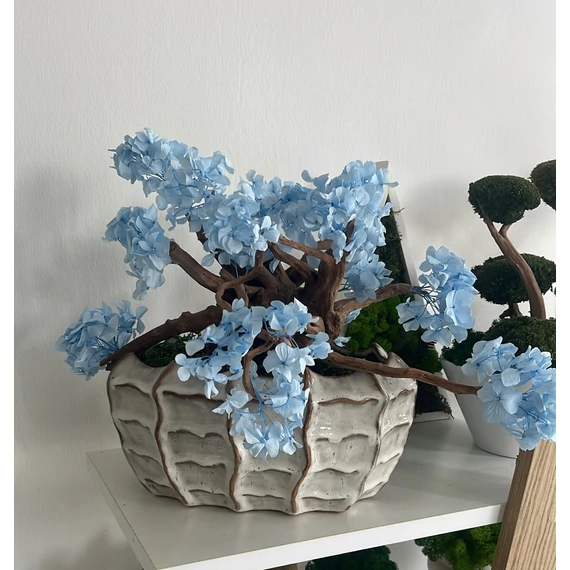 Tartósított hortenzia bonsai - Személyes átvétel
