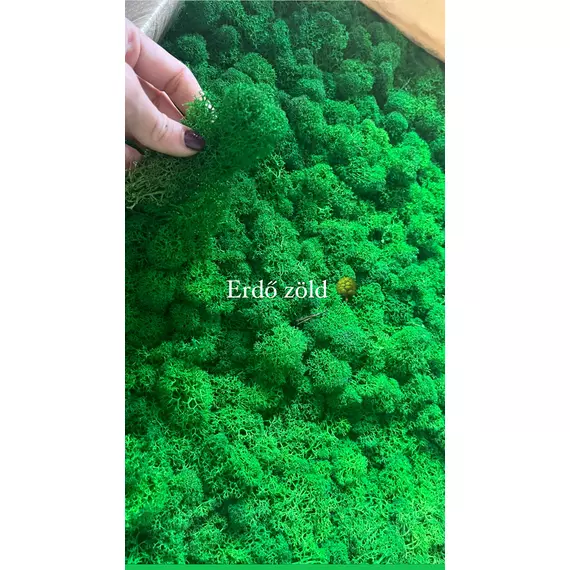 Izlandi zuzmó alapanyag- Erdő zöld 1kg