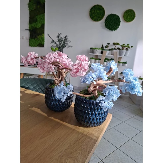 Tartósított hortenzia bonsai - Személyes átvétel